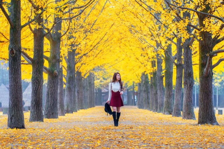 Yellow Spring Road Japan