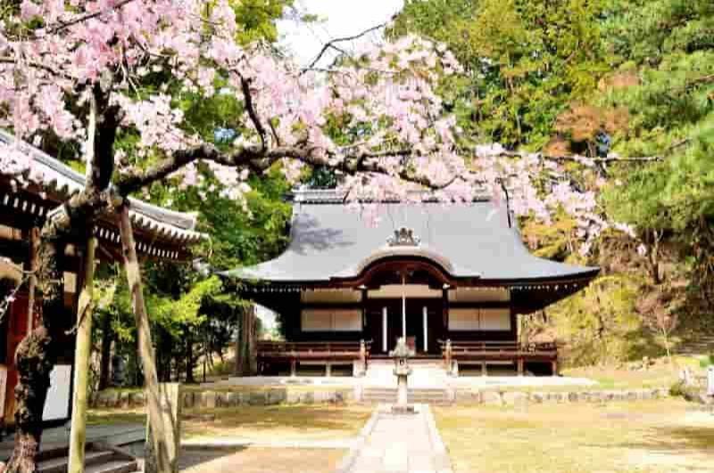 The shrine is dedicated to the Shinto deity of agriculture and fertility, 